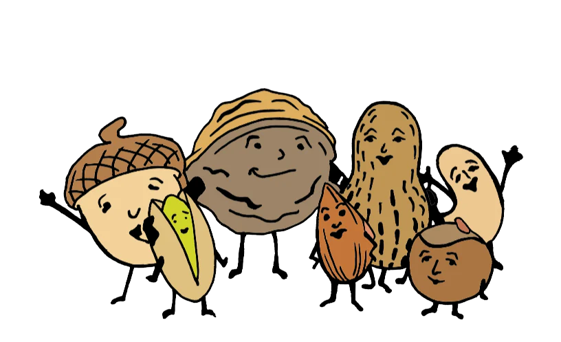 Family of Nuts